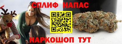 спиды Можга