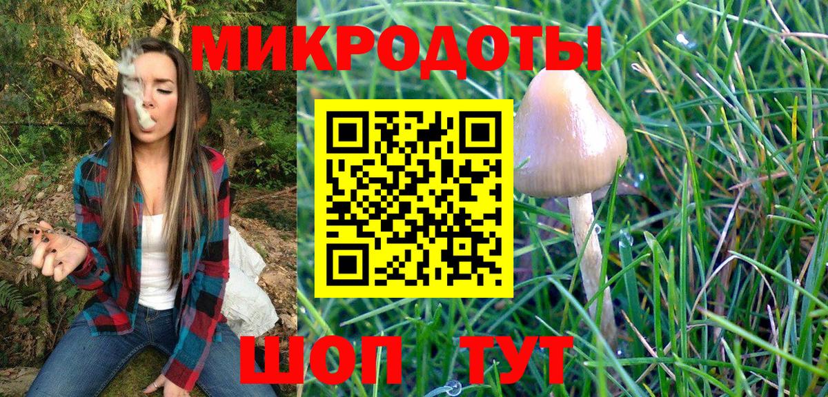 Галлюциногенные грибы ЛСД Торжок